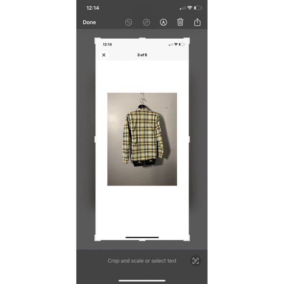 Panhandle Women's Slim Plaid Multi Button Down Long‎ Sleeve Shirt Size M Cotton - Picture 5 of 9